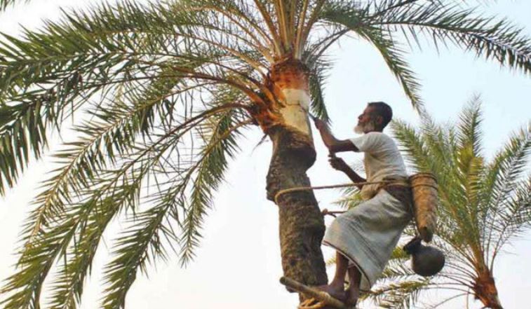 খেজুরের রস পান করা থেকে বিরত থাকার আহ্বান