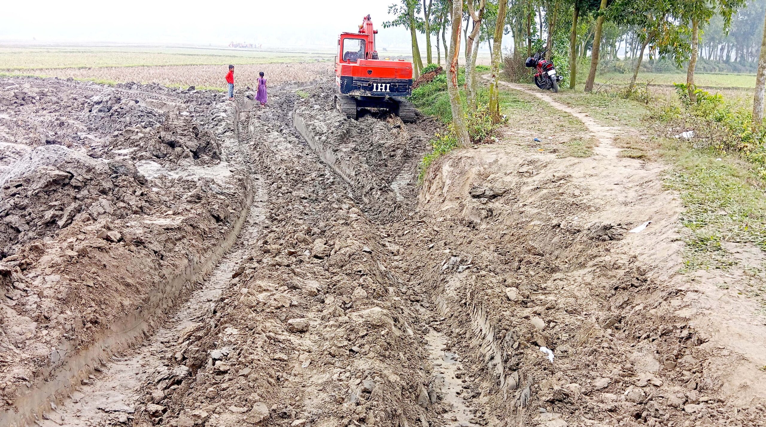 নাঙ্গলকোটে সড়ক কেটে অবৈধ গরুর হাট ভরাট