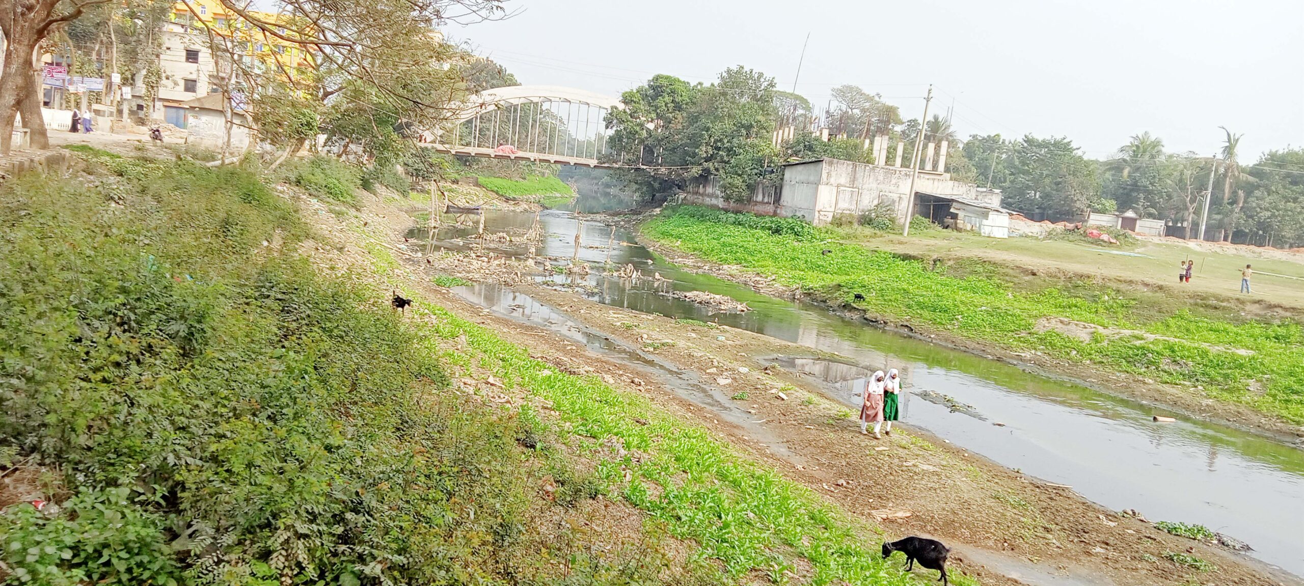 পানি শূন্য ডাকাতিয়া