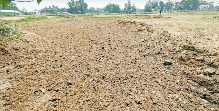 চৌদ্দগ্রামে রাতের আঁধারে ফসলী  জমির মাটি কেটে নেয়ার অভিযোগ