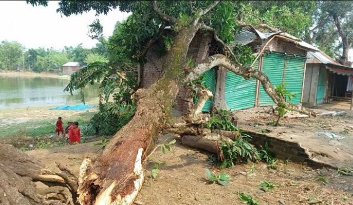 ঠাকুরগাঁও জেলার বালিয়াডাঙ্গীতে  ঝড়ে লন্ডভন্ড ১০ গ্রাম, নিহত ৩