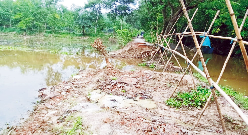 অর্ধলক্ষাধিক মানুষের দুর্ভোগ  সড়কের উপর বাঁশের সাঁকো