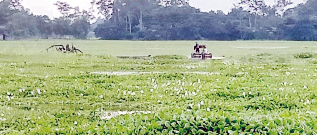 চান্দিনায় কৃষি জমি থেকে ড্রেজিংয়ে মাটি উত্তোলন চলছে দেদারসে