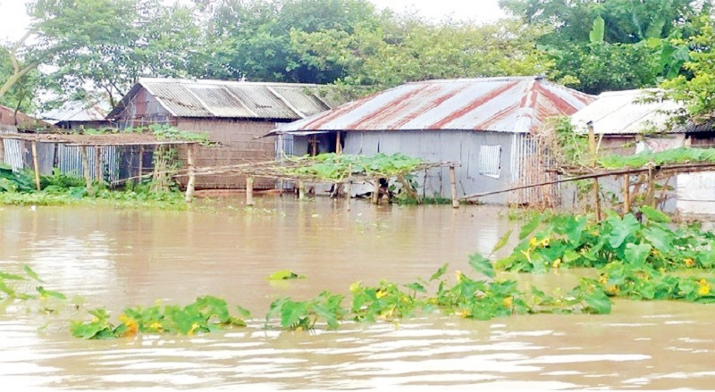 মনোহরগঞ্জে দেড় মাসেও নামেনি বন্যার পানি  জলাবদ্ধতায় চরম ভোগান্তিতে বাসিন্দারা