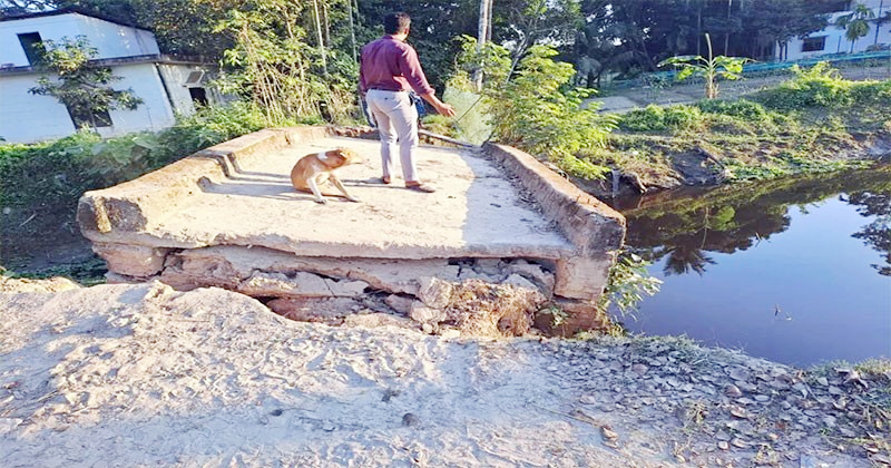 নাঙ্গলকোটে সেতু ও সেতু সংলগ্ন  সড়ক ভেঙে যোগাযোগ বিচ্ছিন্ন