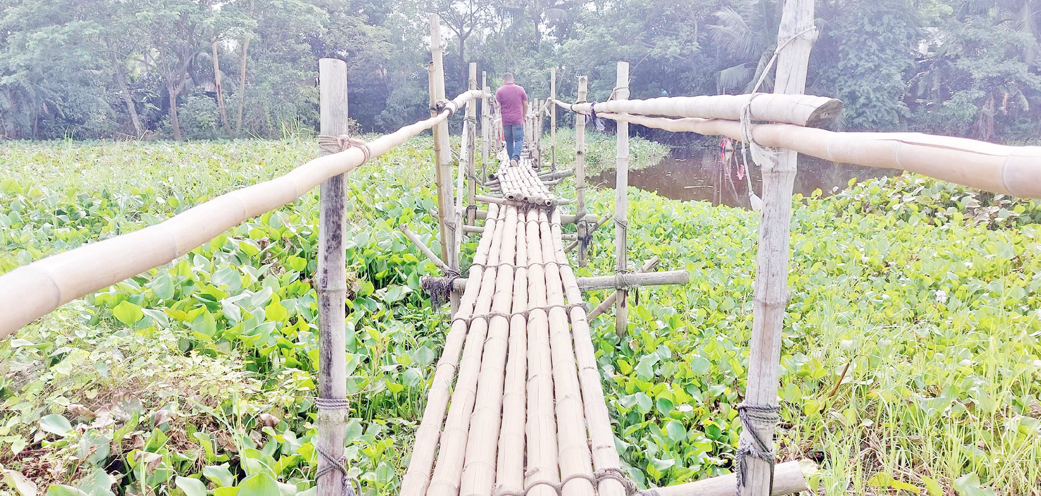 ৬ গ্রামের মানুষের যাতায়াতে একমাত্র ভরসা বাঁশের সাঁকো