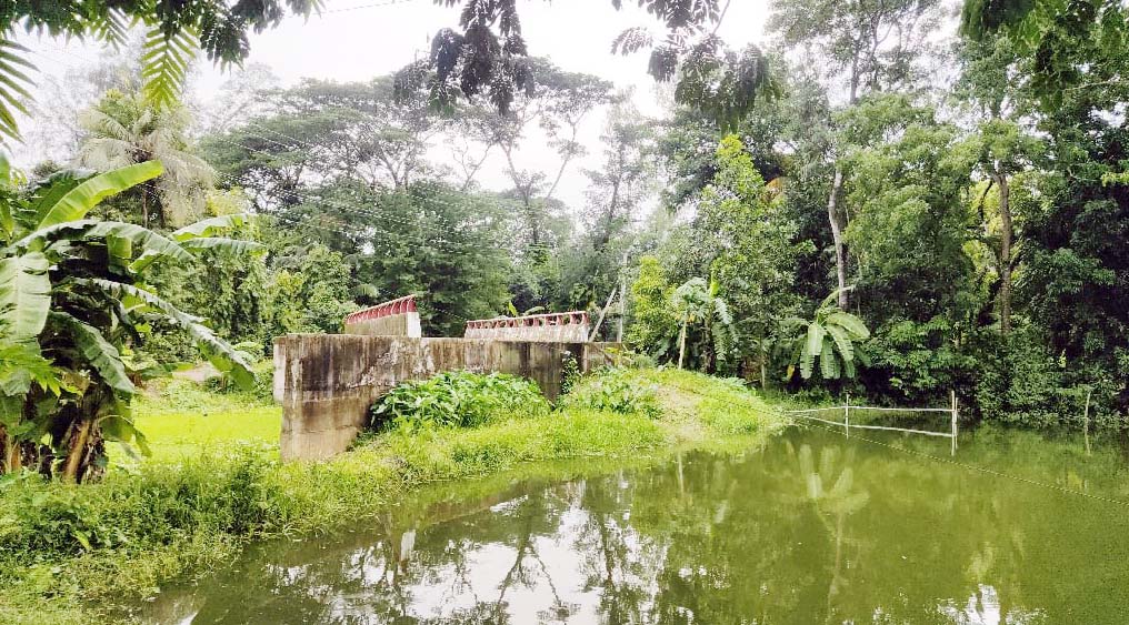 সংযোগ সড়ক না থাকায় কোন উপকারে আসছে না দেড় কোটি টাকা ব্যয়ে নির্মিত সোনাইমুড়ির দীঘিরজান-বজরা খালের ওপর সেতু সংযোগ সড়ক না থাকায় কোন উপকারে আসছে না দেড় কোটি টাকা ব্যয়ে নির্মিত সোনাইমুড়ির দীঘিরজান-বজরা খালের ওপর সেতু