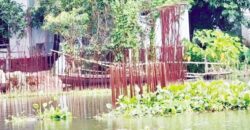৫ বছরেও শেষ হয়নি চৌদ্দগ্রামে ডাকাতিয়া  নদীর ওপর আকদিয়া ব্রীজের নির্মাণ কাজ