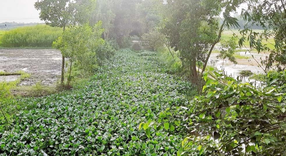 চান্দিনায় সরকারি উন্নয়ন কাজে সীমাহীন দুর্নীতি ও লুটপাটের অভিযোগ