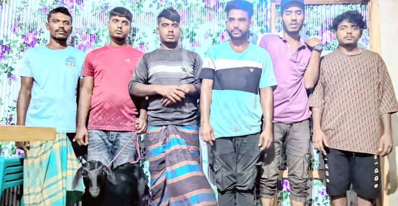 ছাগল চুরির অপরাধে ৬ জন জেলহাজতে