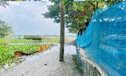 মনোহরগঞ্জে লাউলহরী-নোয়াপাড়া  সড়কের মাঝখানে বিদ্যুতের খুঁটি!