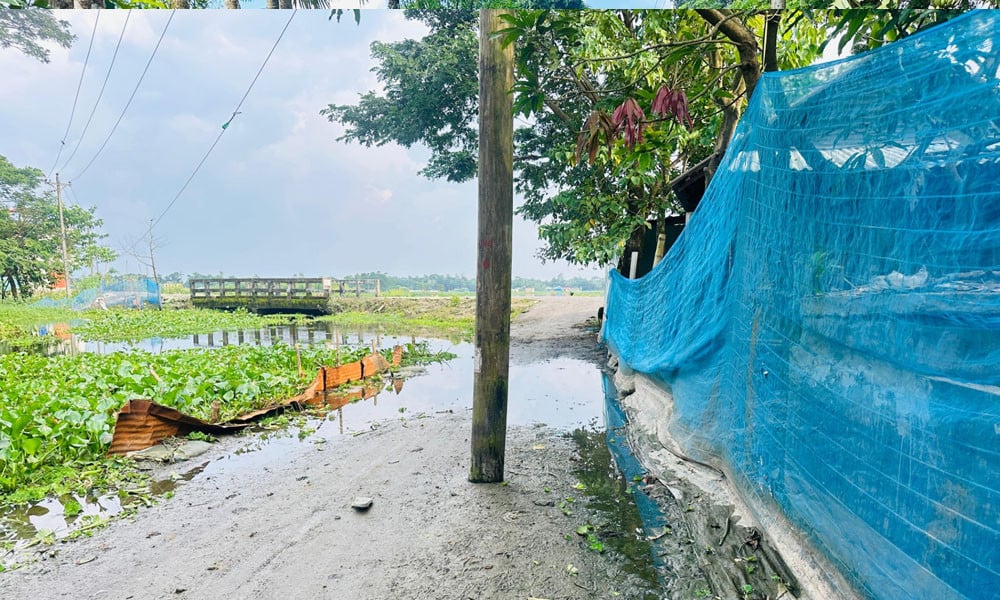 মনোহরগঞ্জে লাউলহরী-নোয়াপাড়া  সড়কের মাঝখানে বিদ্যুতের খুঁটি!