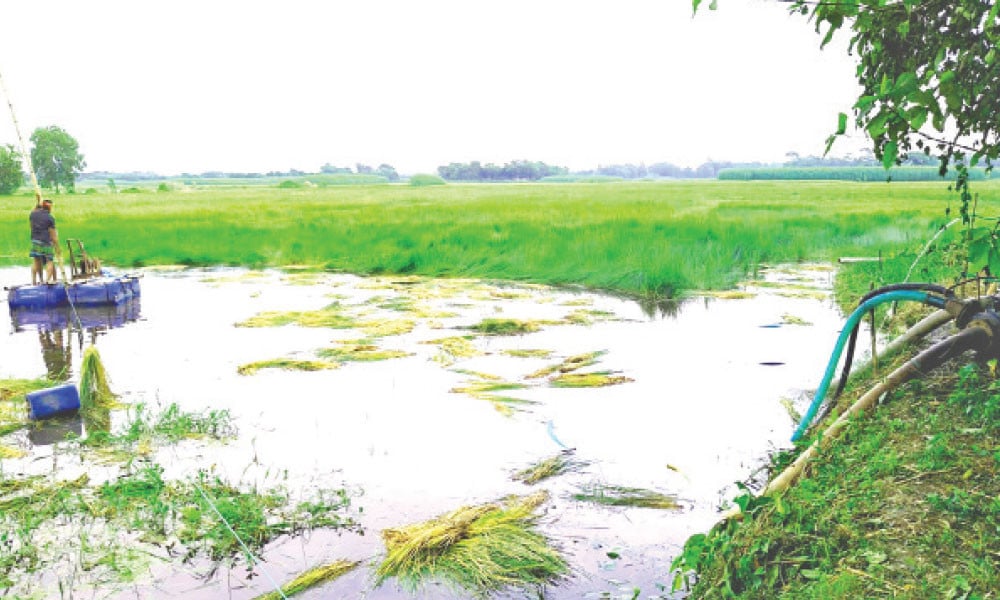 মুরাদনগরে ড্রেজারে গিলে খাচ্ছে বছরে ২ হাজার একর কৃষি জমি