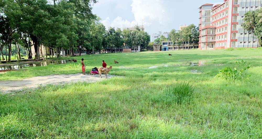 <span class="entry-title-primary">খেলাধুলা থেকে বঞ্চিত হচ্ছে শিক্ষার্থীসহ তরুন সমাজ</span> <span class="entry-subtitle">দেবীদ্বার এসএ সরকারি কলেজ মাঠে বছরজুড়ে জলাবদ্ধতা</span>