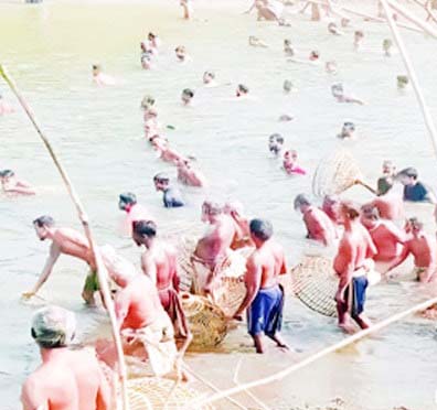 মনোহরগঞ্জে ডাকাতিয়া খালে মাছ ধরার উৎসব